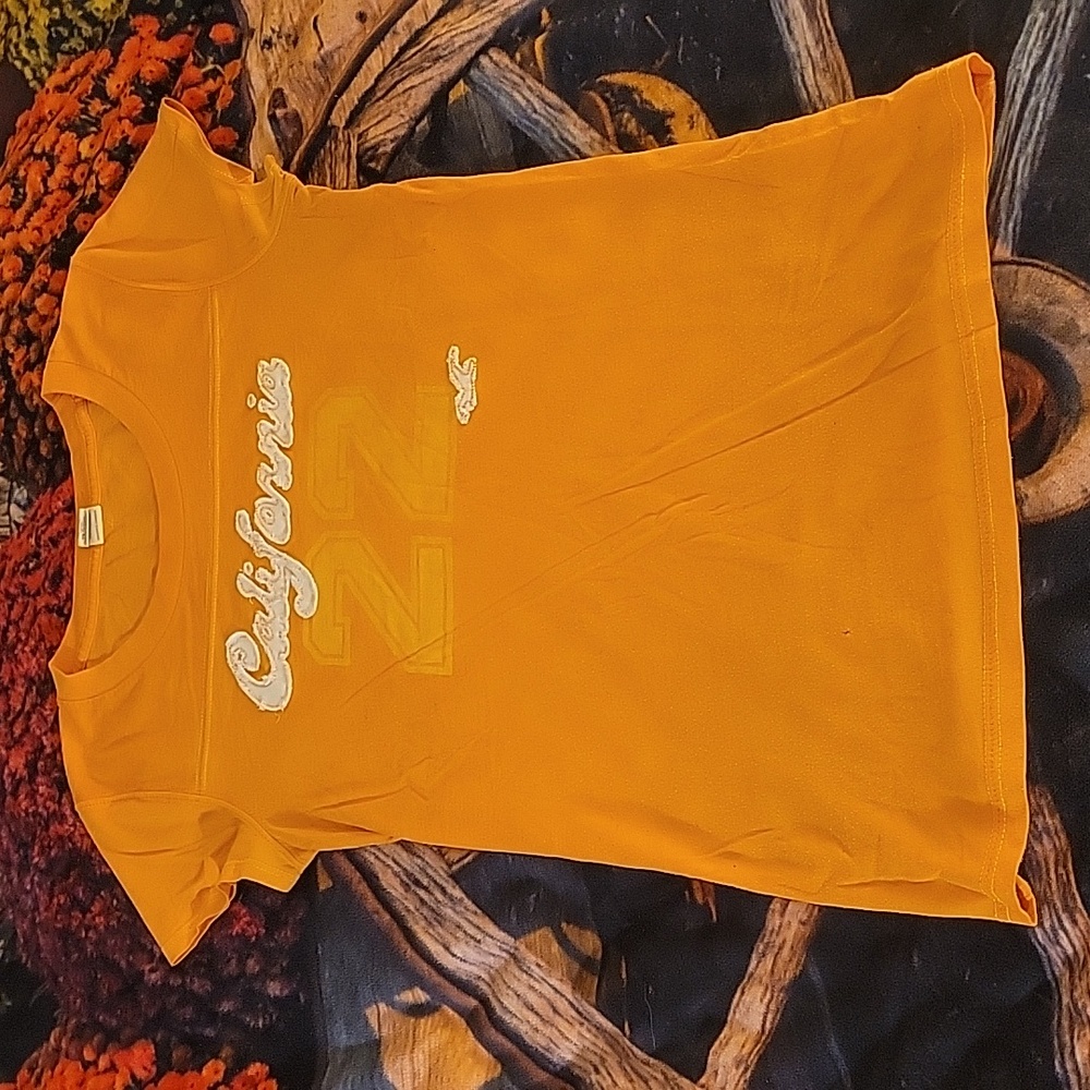 Juniors Hollister T-shirt